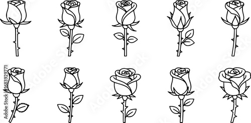 set of rose with thorns outline icon vector
