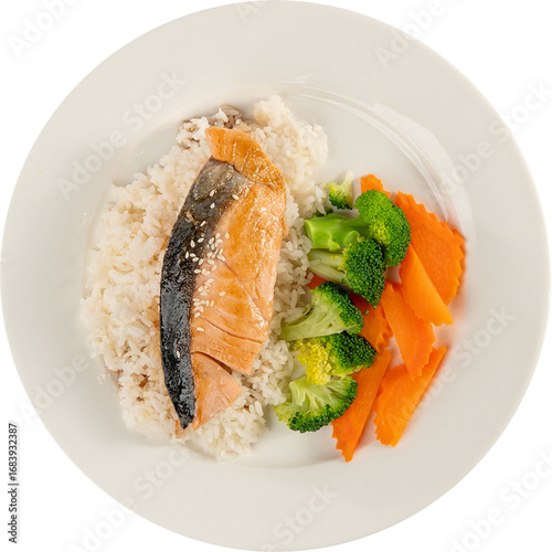 salmon with rice