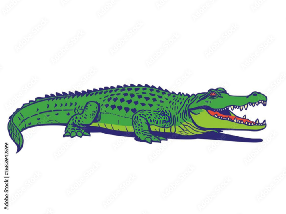 Fototapeta premium crocodile isolated on white background