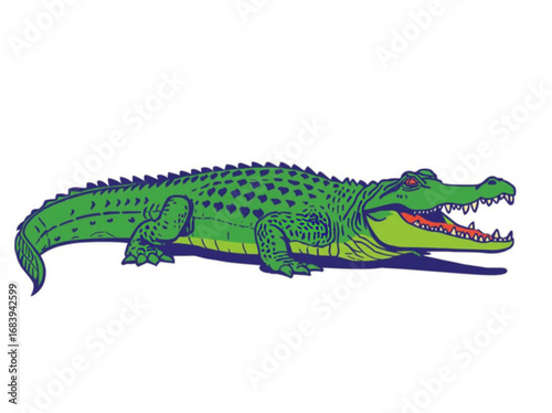 crocodile isolated on white background