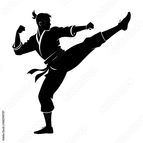 Martial Arts Silhouette High Kick Pose