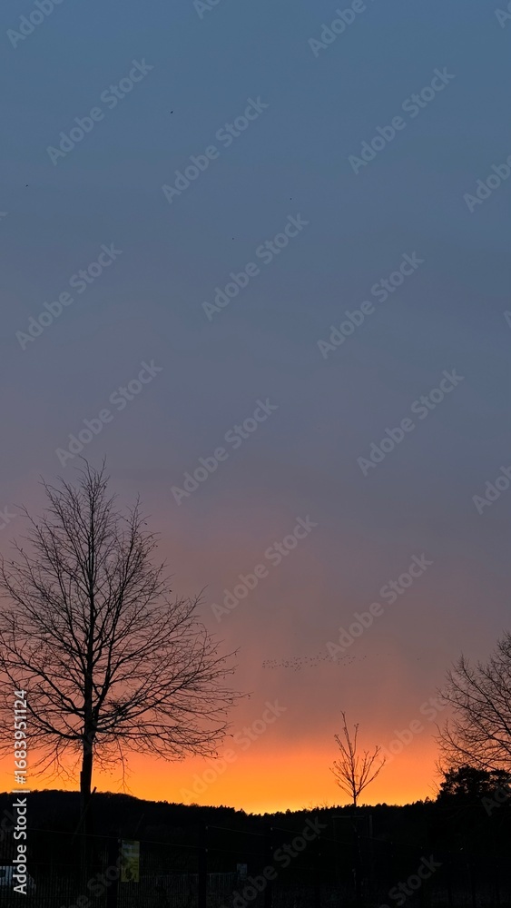 Obraz premium sunset in the sky