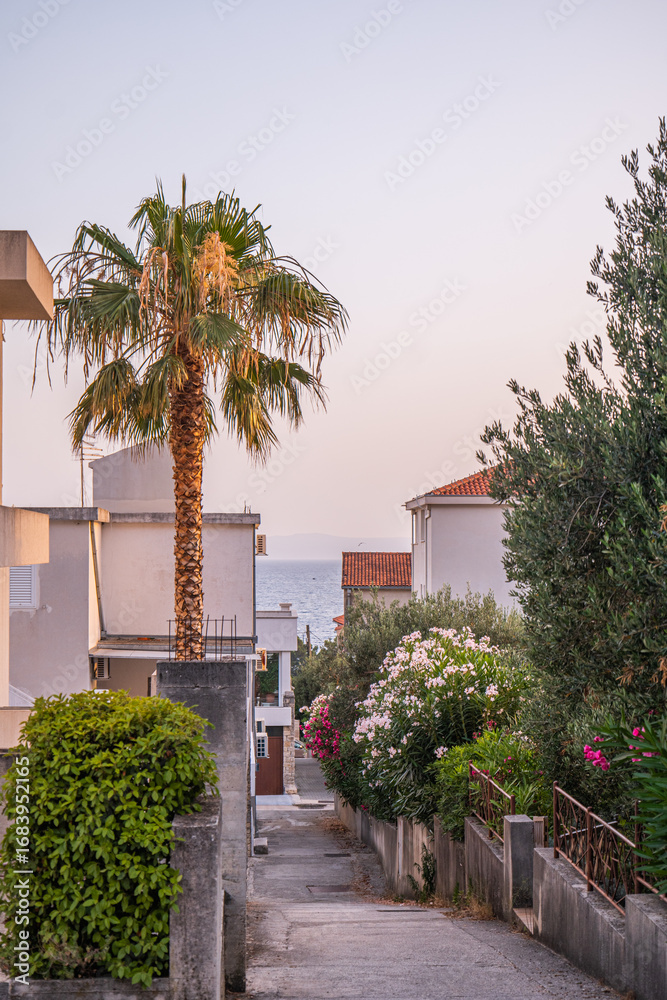 Fototapeta premium Narrow residential street in Makarska Croatia with palm tree, blooming flowers, white houses and Adriatic Sea view under soft pastel evening sky