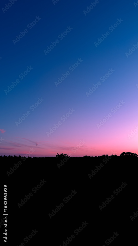 Fototapeta premium Serene Sunset Over Silhouetted Treeline