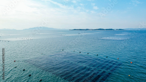 ドローン空撮による冬の瀬戸内海の牡蠣漁風景多島美（岡山県）/Oyster rafts in Seto Inland Sea, Okayama, Japan
