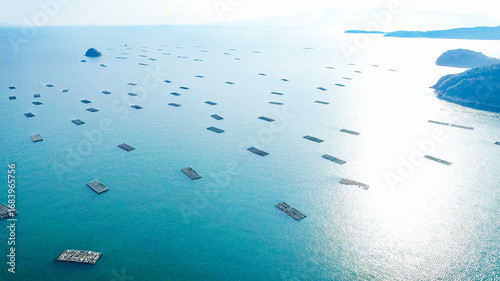 Cuadro en lienzo ドローン空撮による冬の瀬戸内海の牡蠣漁風景多島美（岡山県）/Oyster rafts in Seto Inland Sea, Okayama, Japan