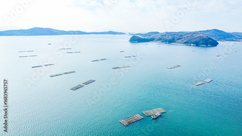 ドローン空撮による冬の瀬戸内海の牡蠣漁風景多島美（岡山県）/Oyster rafts in Seto Inland Sea, Okayama, Japan