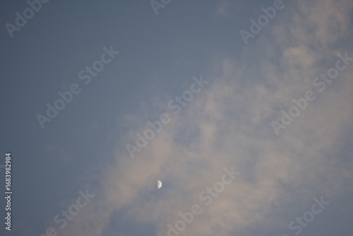 Moon in the sky