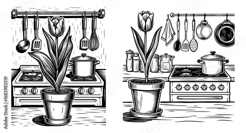 Vector art of a potted tulip plant sits on a kitchen counter in front of a stove and hanging utensils, black and white illustration