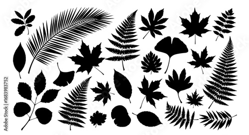 Vector art of assortment of black fern and leaf silhouettes isolated on a