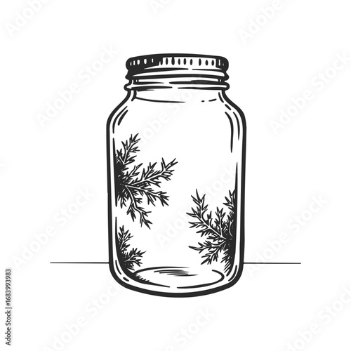Vintage mason jar with fern design in black and white line art illustration