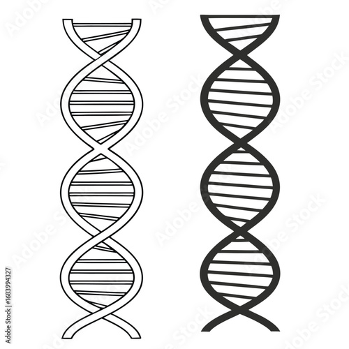 DNA Double Helix Structure Outline and Filled deoxyribonucleic acid