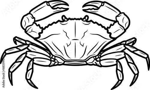 crab line art silhouette vector illustration