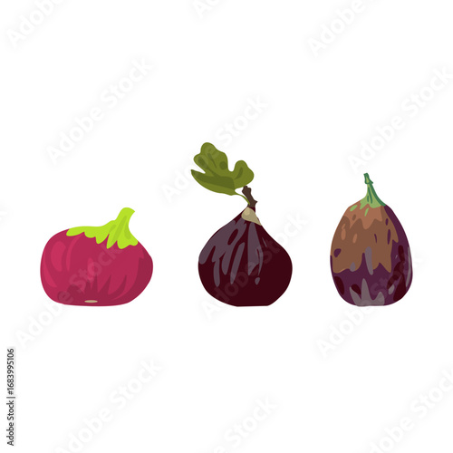 Fresh figs vector illustration.