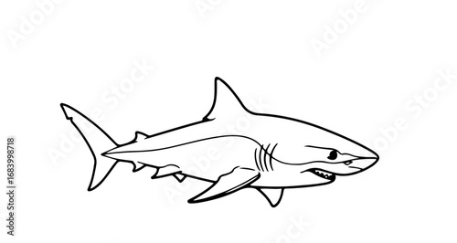 Detailed shark illustration, capturing its sharp teeth and streamlined body
