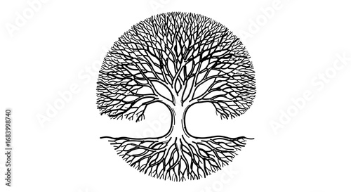 Stylized tree with intricate branches and roots forming a circular shape, symbolizing growth and nature