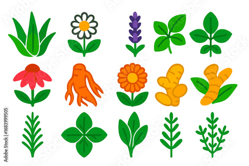 Medicinal Plant Icons. Flat vector icons of medicinal crops: aloe vera, chamomile, lavender, peppermint, echinacea, ginseng root,