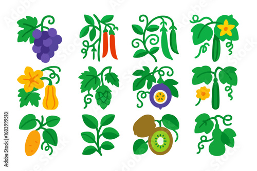 Vibrant Climbing Crop Icons. Flat vector icons of climbing crops: grapevine, pole beans, climbing pea, cucumber vine, squash vine,
