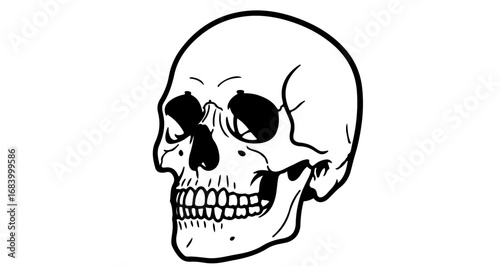 Illustration of a human skull, a symbol of death and mortality, vector art