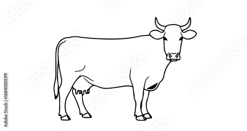 Simple line drawing of a cow, showing its basic features