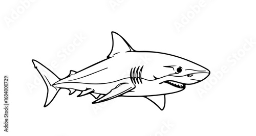 Illustration of a great white shark with sharp teeth, a dangerous predator