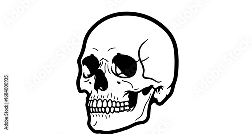 Human skull, a symbol of death, mortality, and the macabre, drawn in black and white