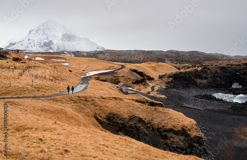 Scenic landscape with hikers near a mountain and coastline in Arnarstapi Iceland during overcast weather