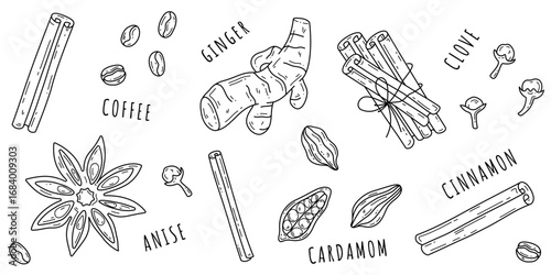 Hand drawn spices set. Outline isolated vector elements of autumn and winter traditional hot drink, pumpkin latte, mulled wine. Ginger, cinnamon rolls, star anise, cardamom, clove, coffee beans