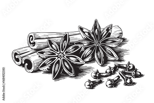 Vintage engraving of cinnamon sticks, star anise and cloves. Hand-drawn botanical spice illustration