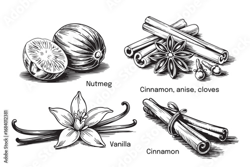 Vintage spice set with cinnamon, vanilla, nutmeg, star anise and cloves in hand-drawn line art