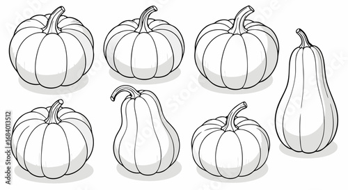 Minimalist Vector SVG Illustration of Pumpkins and Squash in Flat Design Style with Neutral Gray Colors for Fall Seasonal Decor