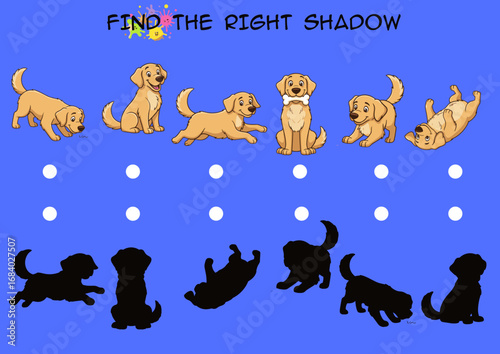 Playful golden retriever puppies with shadows on blue background  