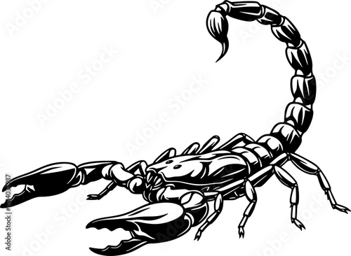 scorpion silhouette line art vector illustration with a white background