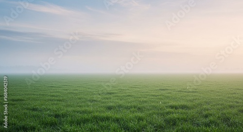 Peaceful panoramic landscape of a flat green field disappearing into the foggy dawn horizon with a gentle light