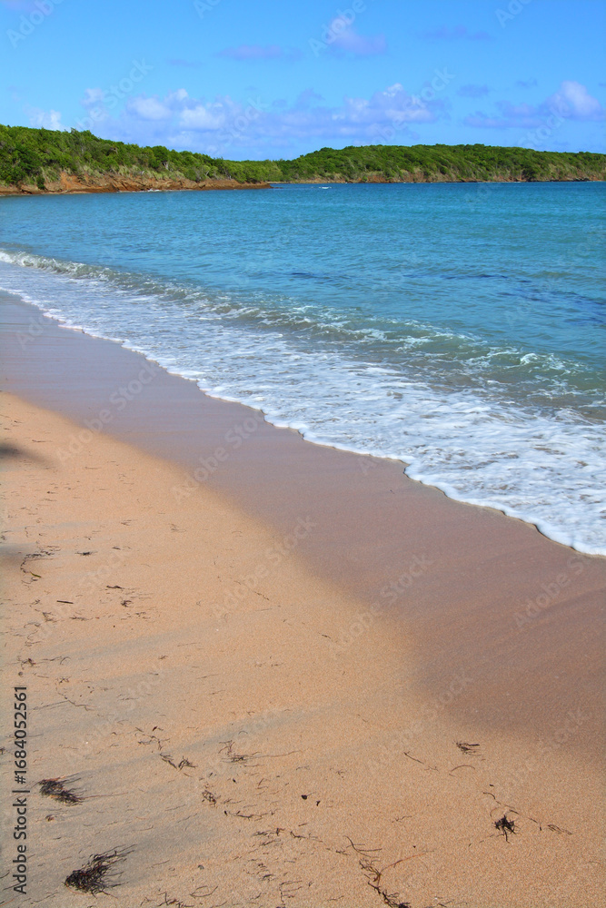 Fototapeta premium Seven Seas Beach in Puerto Rico