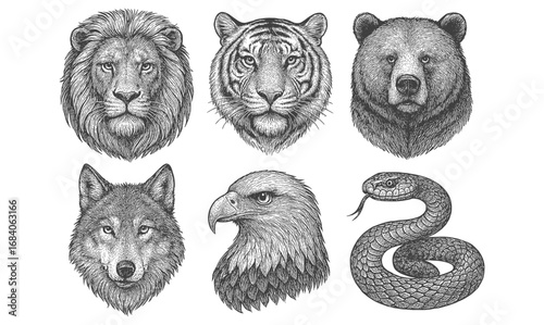 Intricate animal portraits: detailed lion, tiger, bear, wolf, eagle, snake art