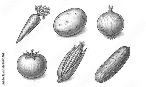Hand drawn vegetables collection featuring carrot, potato, onion, tomato, corn, and cucumber