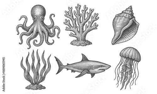 Vintage marine life collection featuring octopus, shark, jellyfish, coral, seaweed, and shell