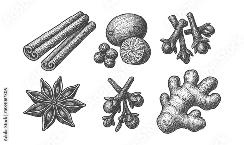 Vintage spice set: engraved cinnamon, nutmeg, cloves, star anise, ginger