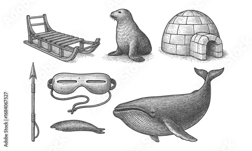 Vintage arctic elements: sled, seal, igloo, whale, and gear in detailed hand drawn style