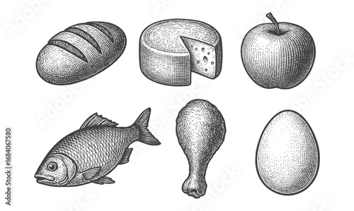 Hand drawn food collection: bread, cheese, apple, fish, drumstick, egg engravings