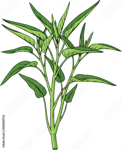 vibrant green water spinach illustration fresh harvest, culinary delight, healthy eating