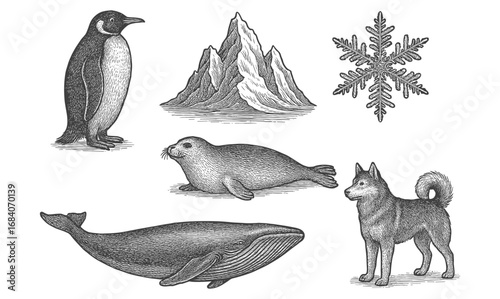 Intricate wildlife engravings: penguin, seal, whale, husky with mountain and snowflake