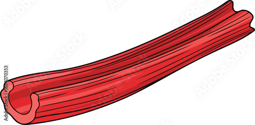 vibrant red rhubarb stalk a detailed culinary illustration of a tart vegetable