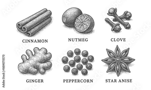 Vintage spice collection: cinnamon, nutmeg, clove, ginger, peppercorn, star anise in detailed engraving
