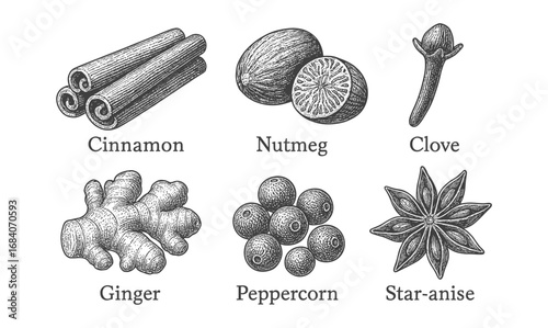 Hand drawn spice collection: cinnamon, nutmeg, clove, ginger, peppercorn, star anise