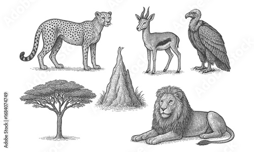 Detailed safari wildlife sketch featuring lion, cheetah, antelope, vulture, acacia tree, and termite mound