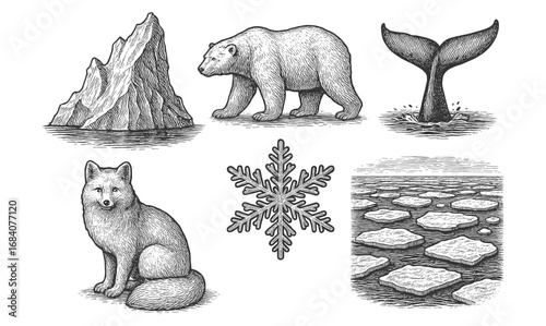 Arctic wildlife and landscapes: polar bear, fox, iceberg, whale tail, snowflake, and ice floes