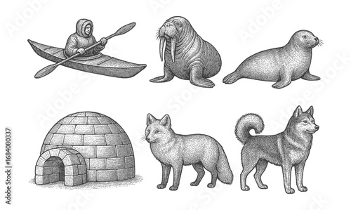 Detailed arctic wildlife and inuit lifestyle engraving style illustration