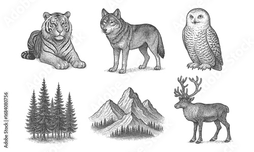 Intricate wildlife and nature sketch: tiger, wolf, owl, deer, forest, and mountains